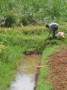 dsc00675.jpg