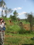 dsc00677.jpg