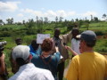 dsc00683.jpg