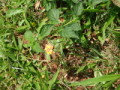 dsc00684.jpg