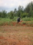 dsc00685.jpg