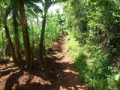 dsc00687.jpg