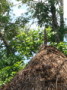 dsc00689.jpg
