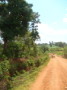 dsc00690.jpg