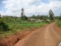 dsc00693.jpg