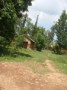 dsc00696.jpg