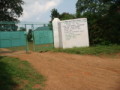 dsc00697.jpg