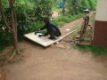 dsc00713.jpg