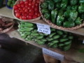 dsc00724.jpg