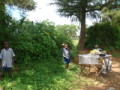 dsc00738.jpg