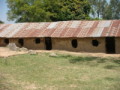 dsc00743.jpg