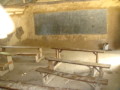 dsc00755.jpg