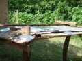 dsc00768.jpg