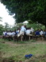 dsc00774.jpg