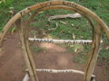 dsc00813.jpg