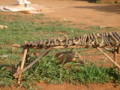 dsc00842.jpg