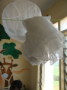 dsc00856.jpg