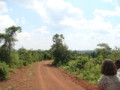 dsc00879.jpg