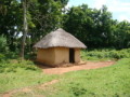 dsc00881.jpg