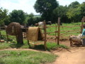 dsc00884.jpg