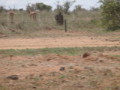 dsc00986.jpg