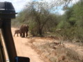 dsc00993.jpg