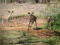 dsc00997.jpg