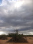 dsc00999.jpg