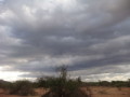 dsc01000.jpg