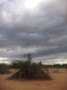dsc01001.jpg