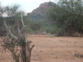 dsc01002.jpg