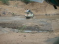 dsc01004.jpg