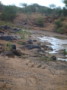 dsc01005.jpg