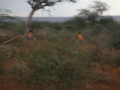 dsc01007.jpg