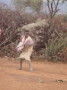 dsc01010.jpg