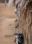dsc01016.jpg