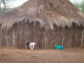 dsc01022.jpg