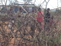 dsc01023.jpg