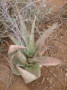 dsc01025.jpg