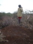 dsc01030.jpg