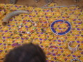 dsc01033.jpg