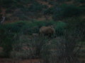 dsc01042.jpg