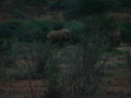 dsc01043.jpg