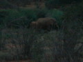 dsc01044.jpg