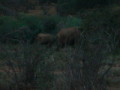 dsc01045.jpg