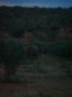 dsc01046.jpg