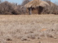 dsc01050.jpg