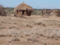 dsc01051.jpg