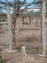 dsc01052.jpg