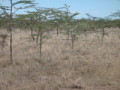 dsc01055.jpg